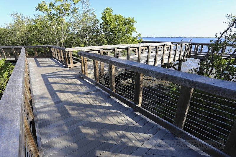 Safety Harbor Waterfront Park photo 3