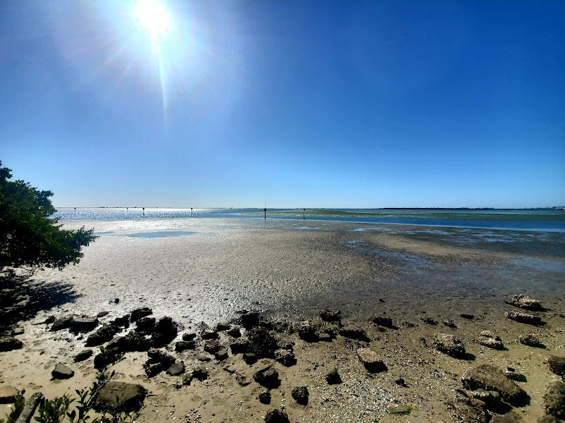 Safety Harbor Waterfront Park photo 4