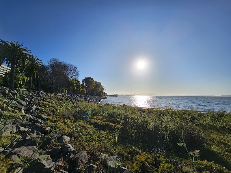 Shorebird Park Emeryville photo 5