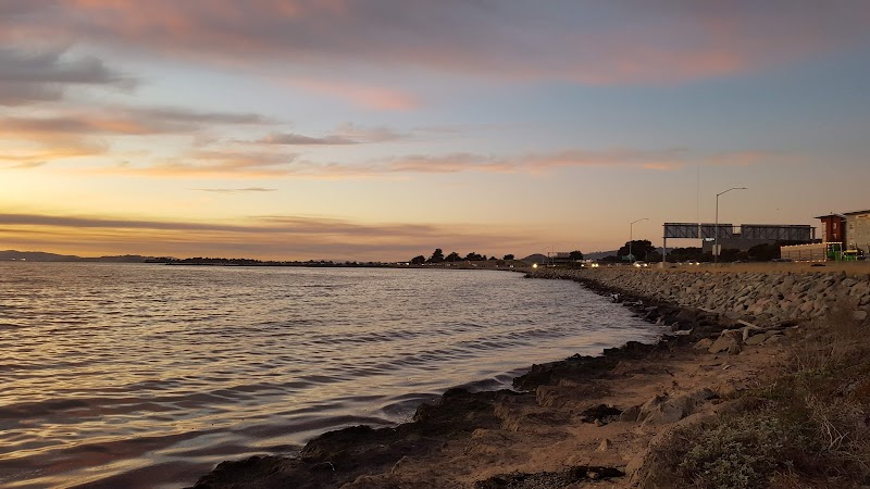 Photo of Shorebird Park Emeryville