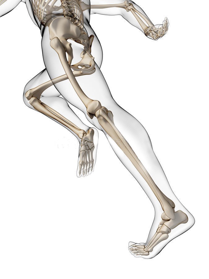 Photo of Sports & Orthopaedic Physiotherapy