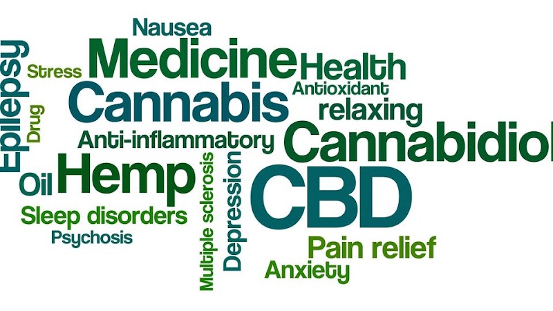 Healthy Green CBD Oil photo 3