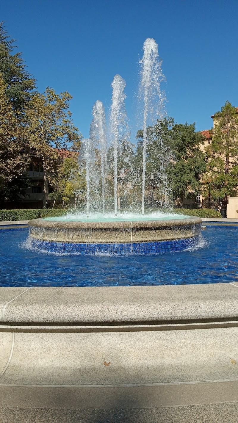 On Jane Stanford Way @ Hoover Tower photo 2
