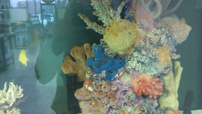 Desert Water & Ice photo 2