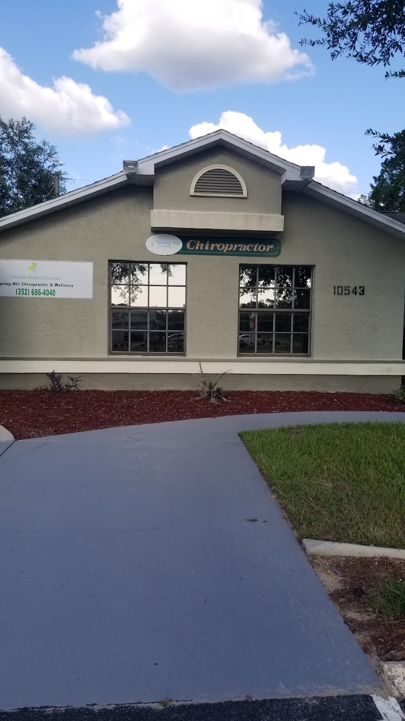 Photo of Spring Hill Chiropractic & Wellness