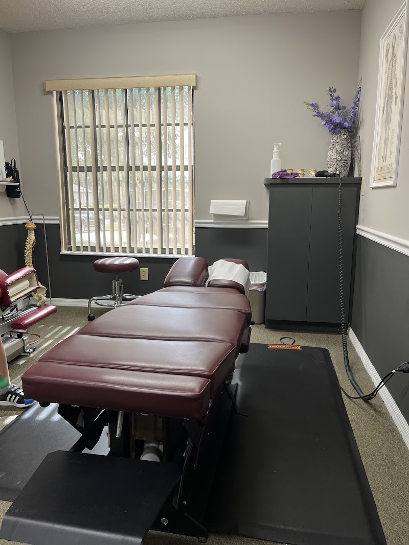 Spring Hill Chiropractic & Wellness photo 2