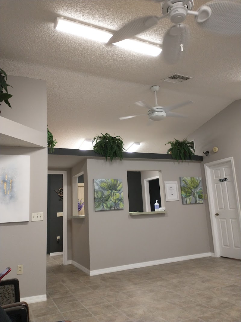 Spring Hill Chiropractic & Wellness photo 5