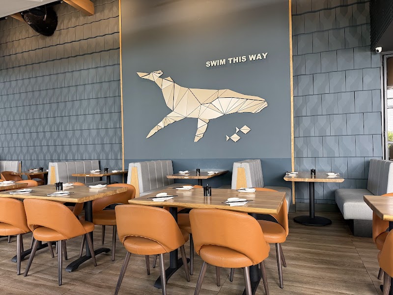 Blue Ocean Sushi & Grill photo 5