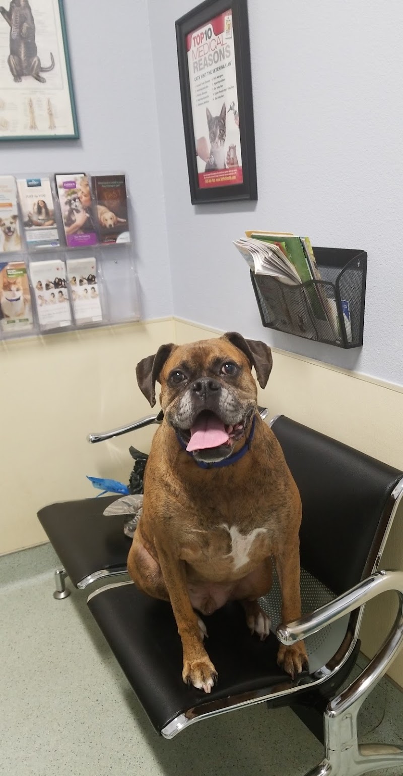 Aggie Animal Clinic photo 2