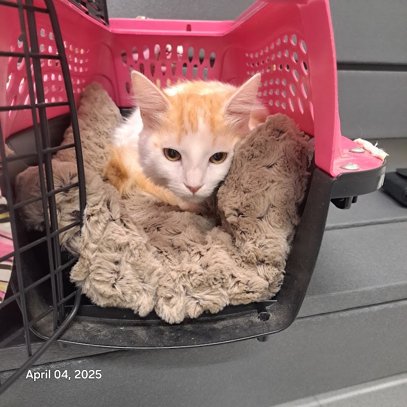 Aggie Animal Clinic photo 3