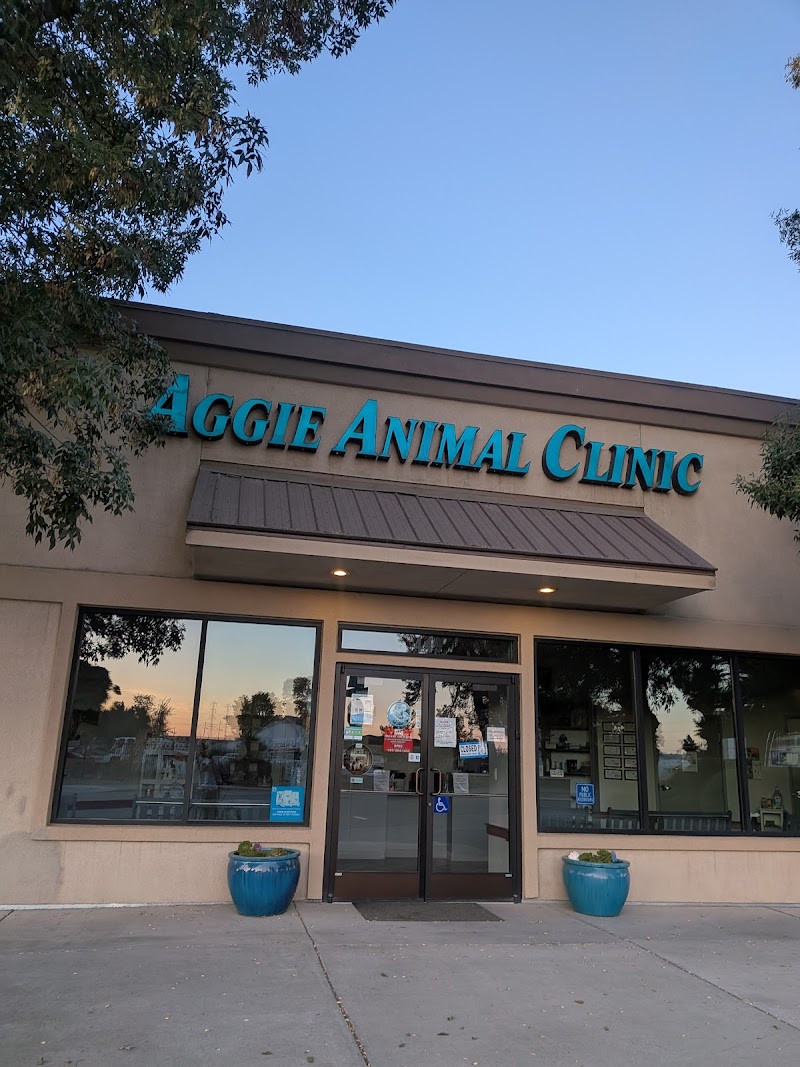 Aggie Animal Clinic photo 5