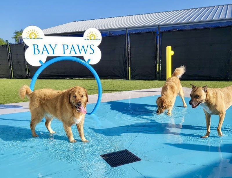 Bay Paws Pet Resort - Wesley Chapel photo 2