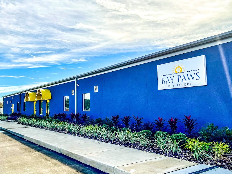 Photo of Bay Paws Pet Resort - Wesley Chapel