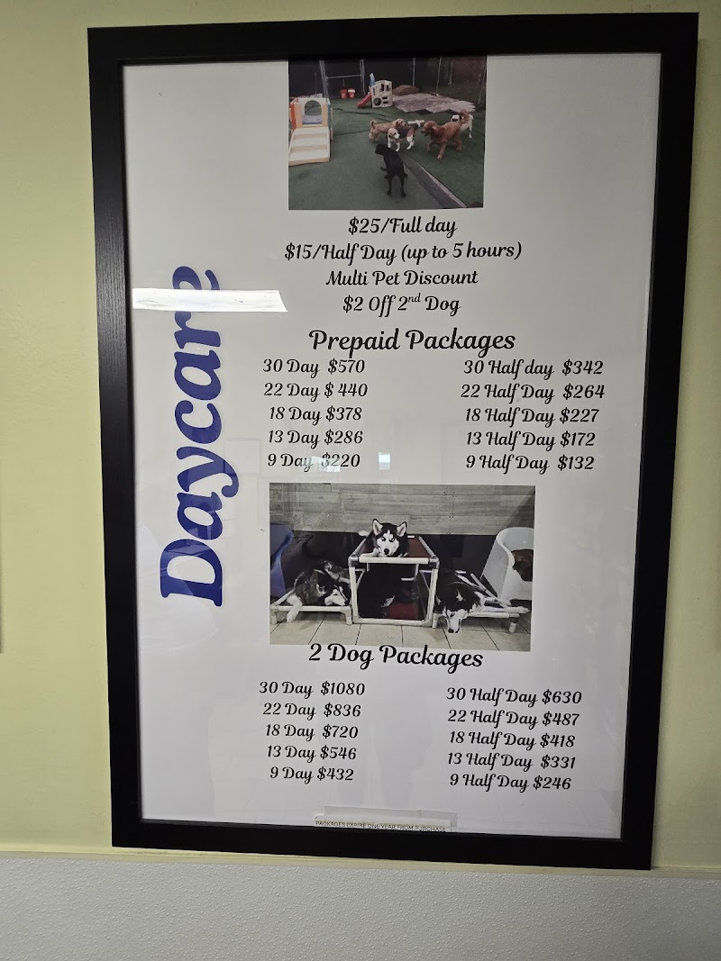 Sheldegren Pet Resort & Salon photo 5