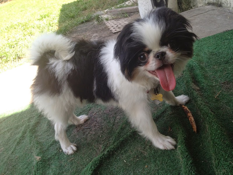 Photo of Sheldegren Pet Resort & Salon