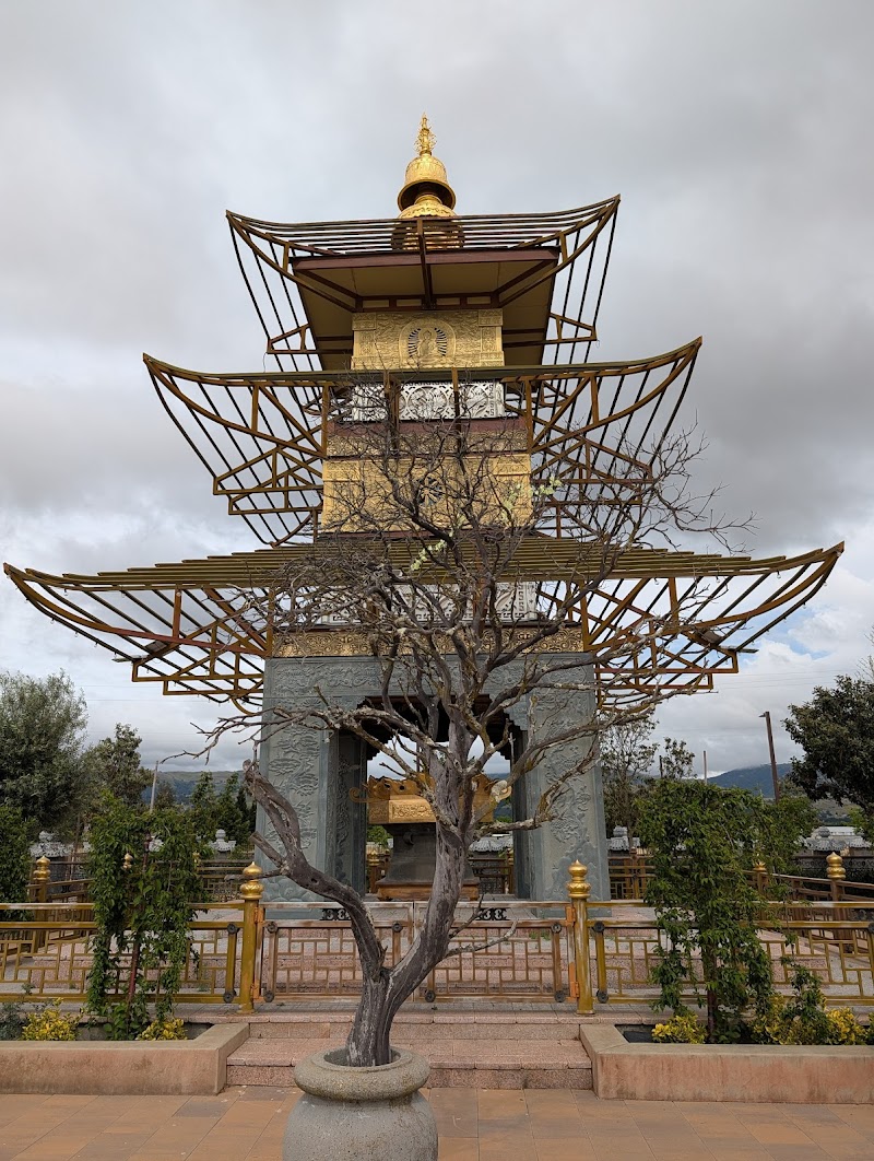Tam Ty Metta photo 2