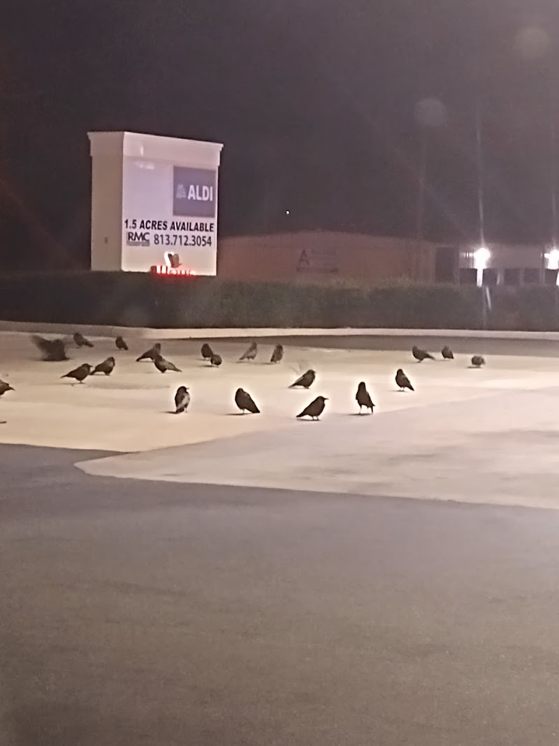 Photo of Circle K | Gas Station