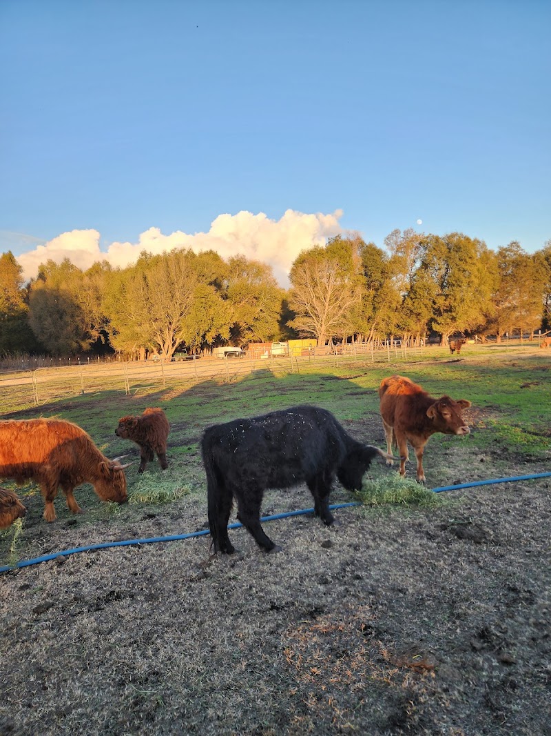 Photo of Willow Grove Ranch