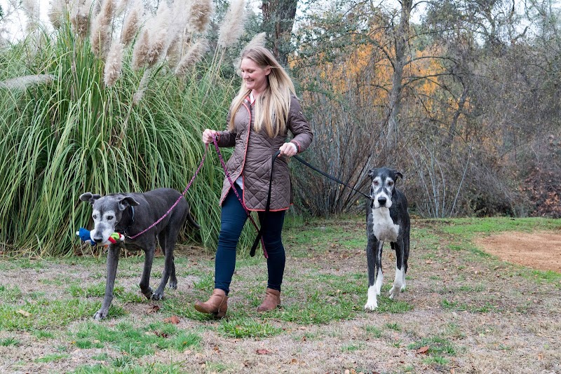 Bonehemian Wags photo 4