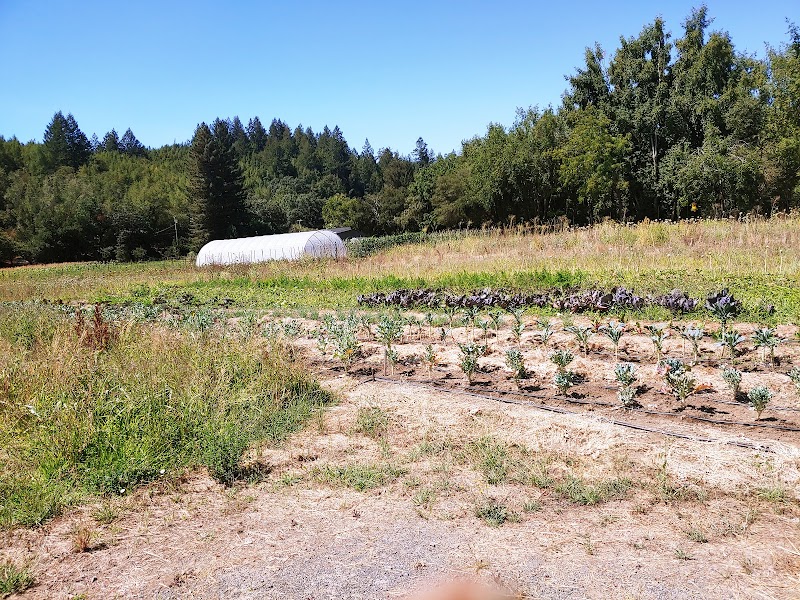 Middleton Farm photo 3
