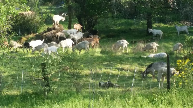 Middleton Farm photo 2