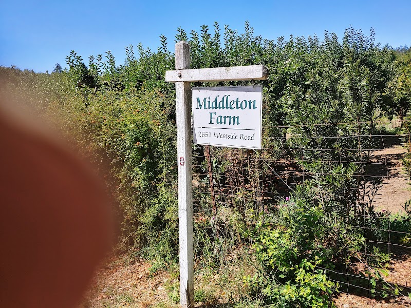Middleton Farm photo 5