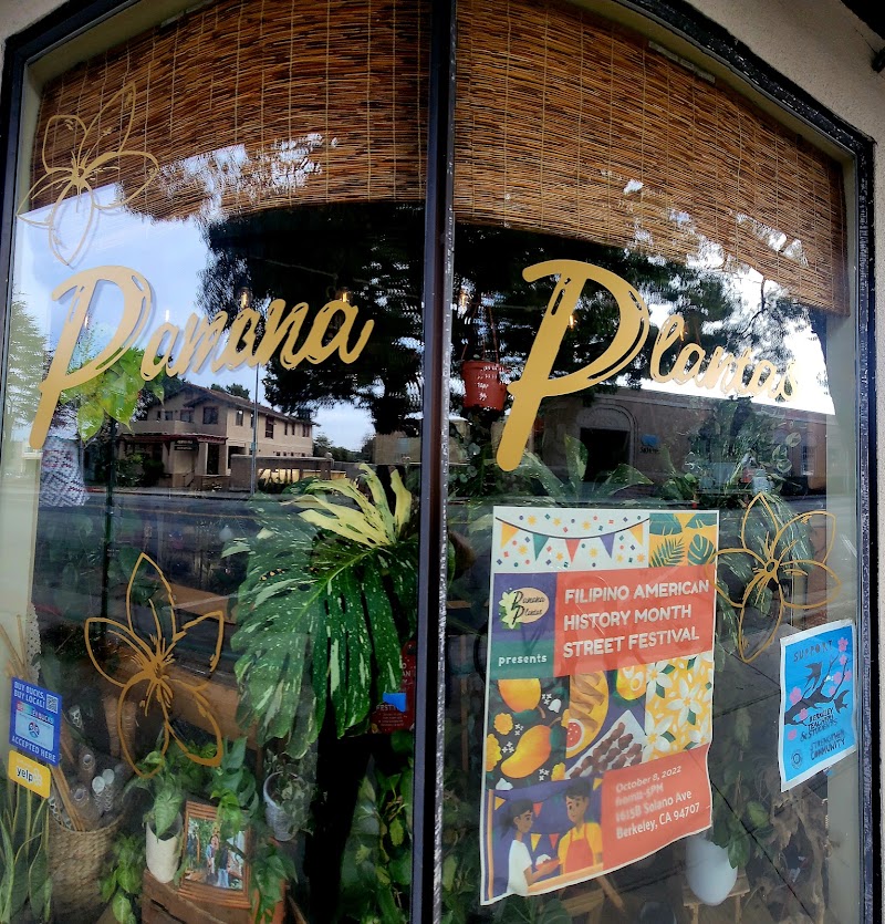 Photo of Pamana Plantas