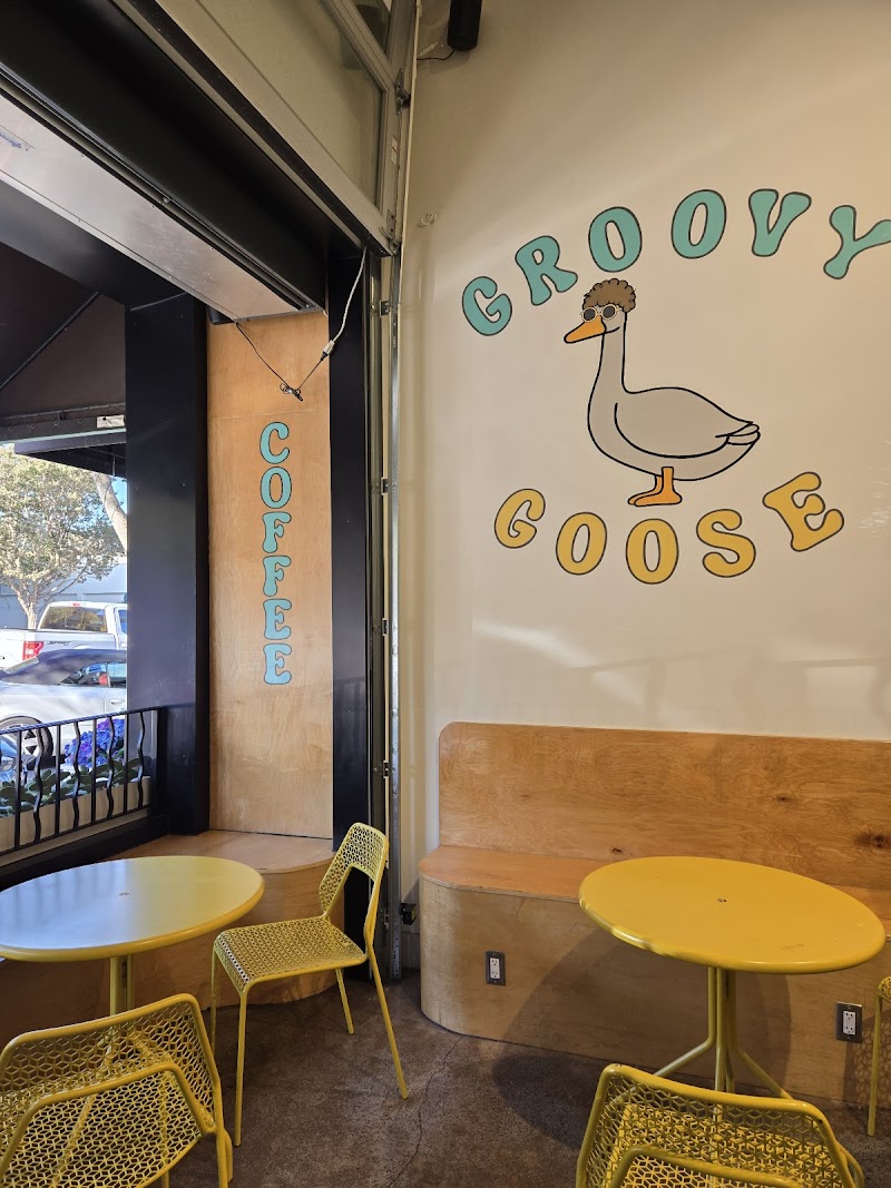 Groovy Goose photo 4