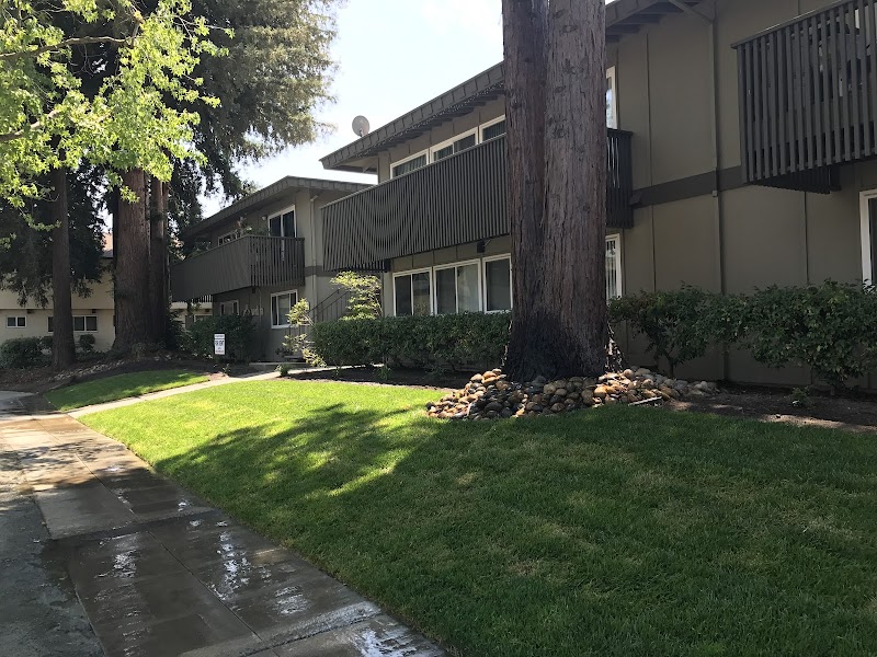 Blach Realty photo 2