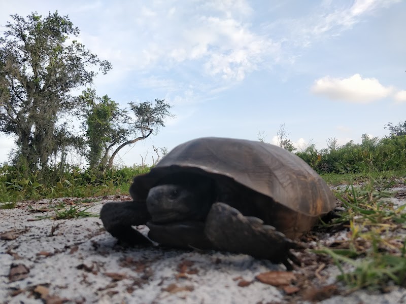 Lake Manatee State Park photo 5