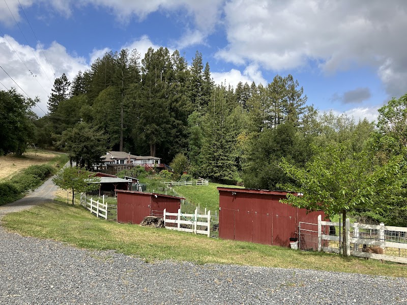 Redwood Hill Farm ~ Capracopia photo 5