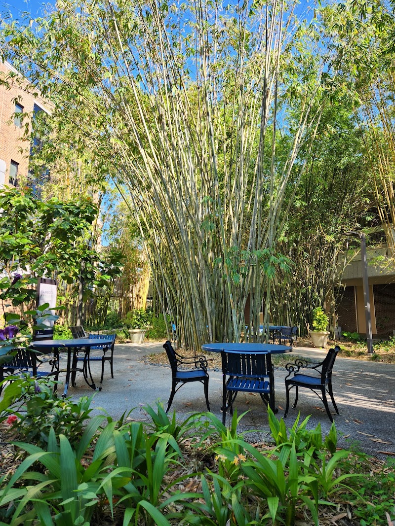 University of North Florida (UNF) photo 4