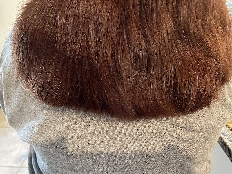 Photo of Classic Cuts