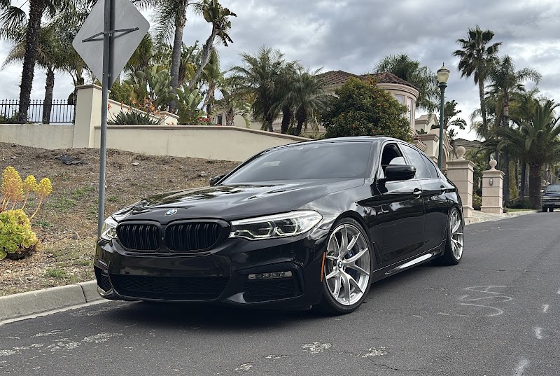 Performance Dynamic photo 4