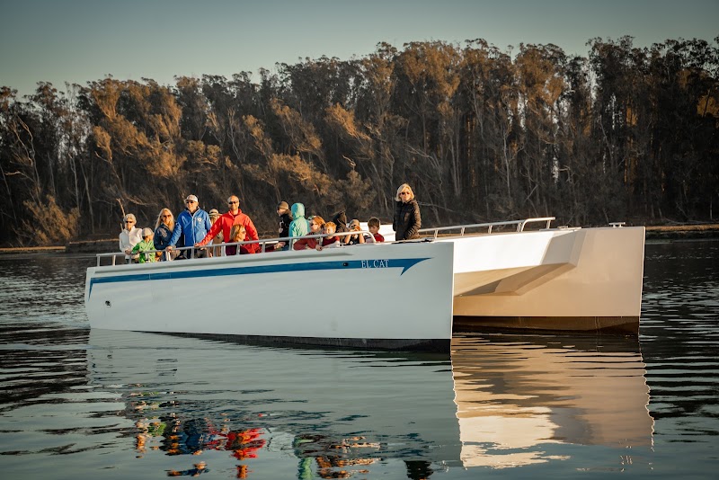 Photo of Monterey Bay Eco Tours - Elkhorn Slough Eco Nature Tour