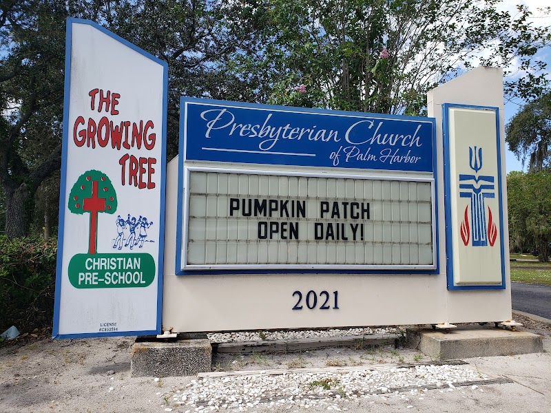 Presbyterian Church of Palm Harbor photo 4