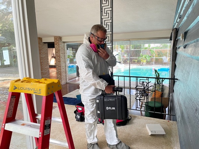 Mold Doctor Pro photo 5