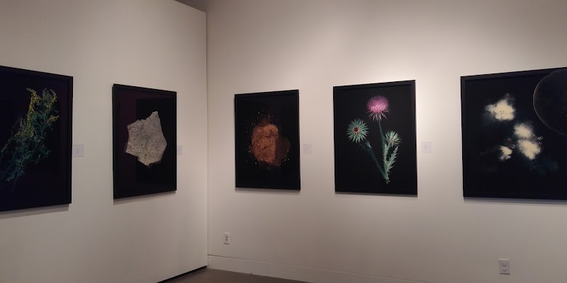 Euphrat Museum Of Art photo 4