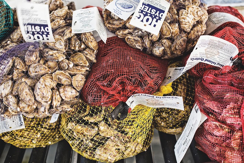 Hog Island Oyster Co. Petaluma photo 4