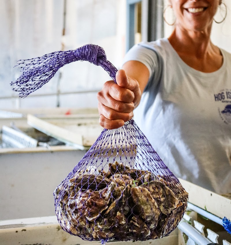 Hog Island Oyster Co. Petaluma photo 2
