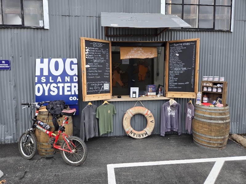 Hog Island Oyster Co. Petaluma photo 3