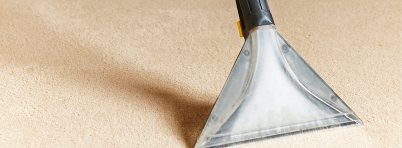 Photo of Chad & Sons Carpet Cleaners