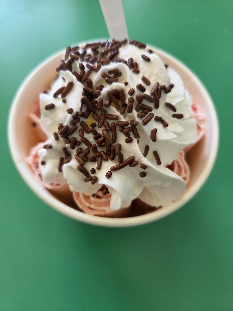 Polar Bear Rolled Ice Cream photo 3