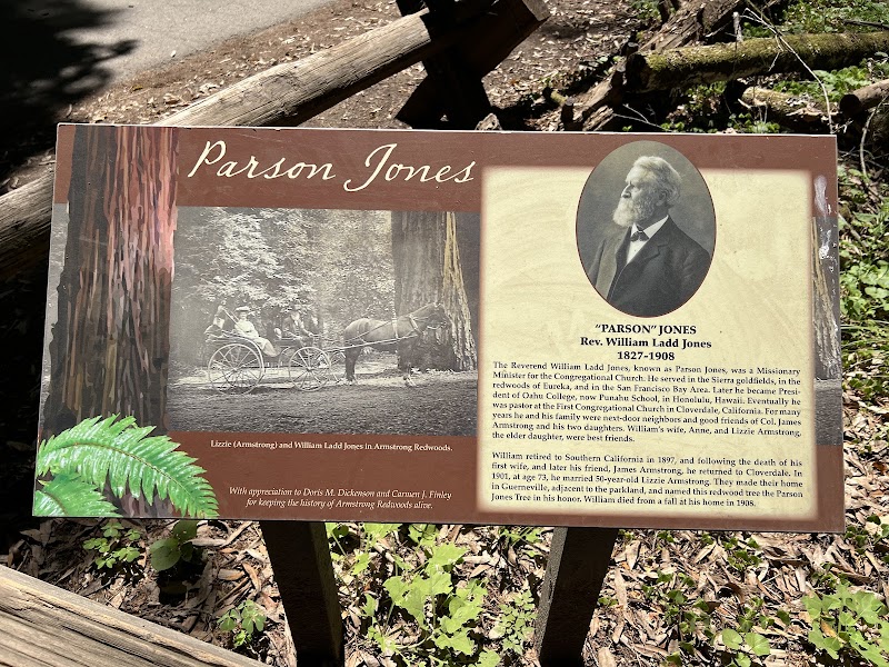 Parson Jones Tree photo 2