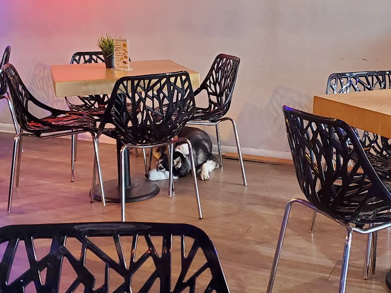 Photo of So French Café