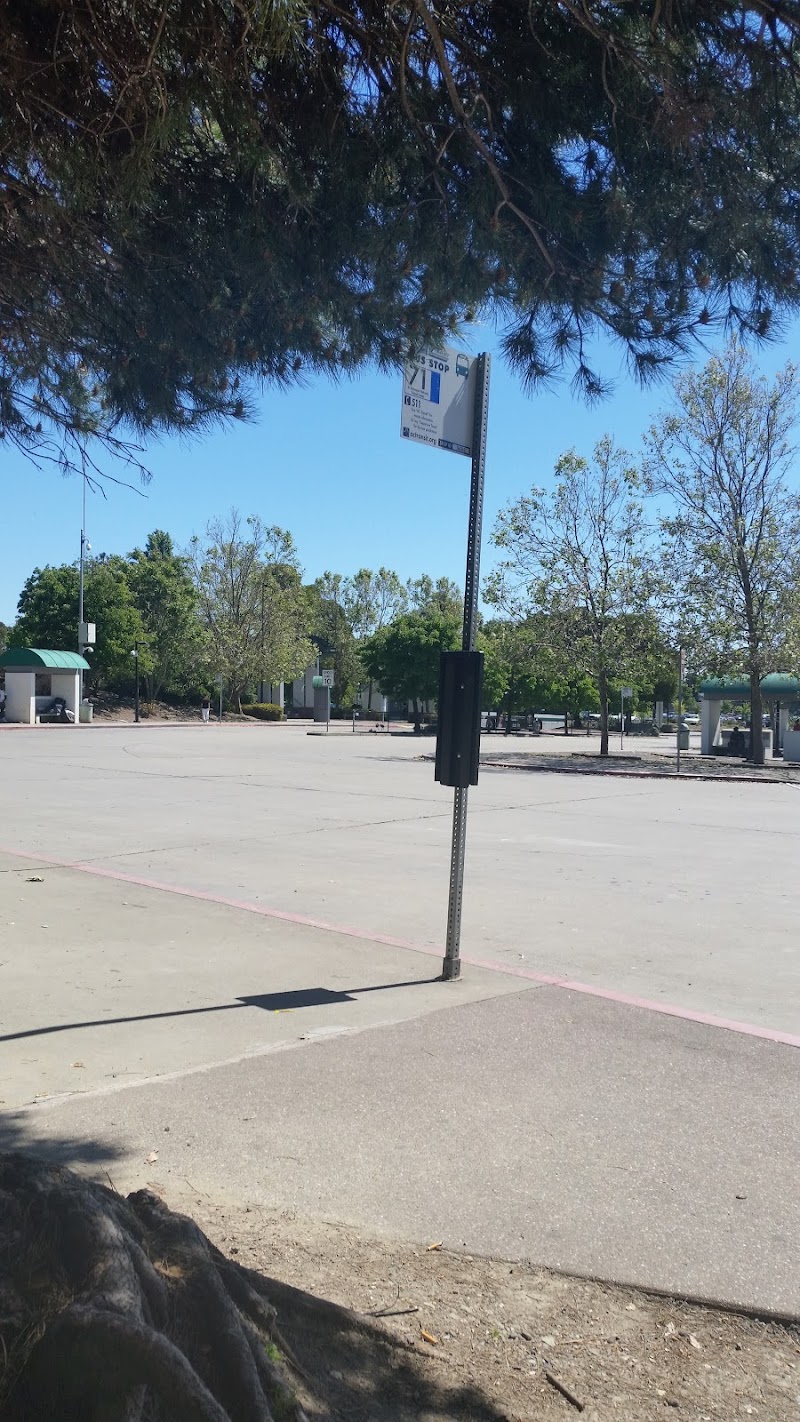 Photo of Contra Costa College