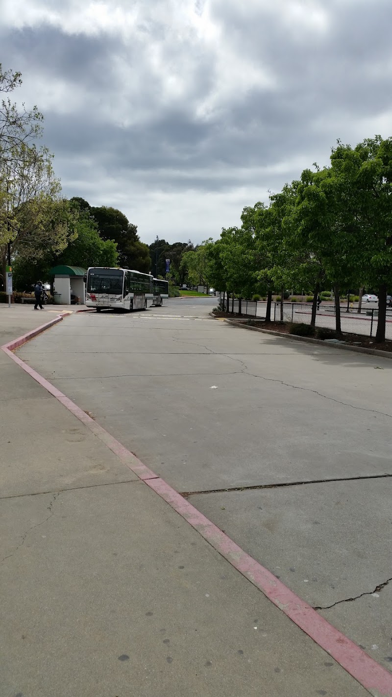 Contra Costa College photo 3