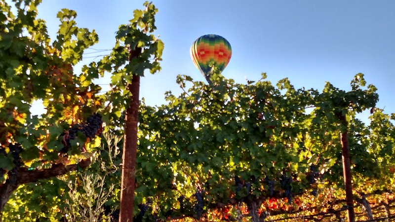 Olney Family Vineyard, Cave and Winery photo 4