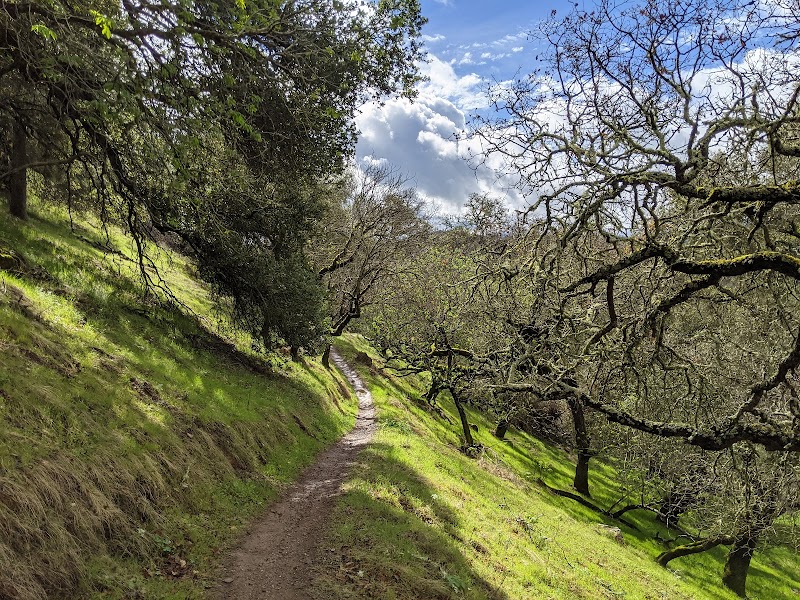 Moore Creek Park photo 2
