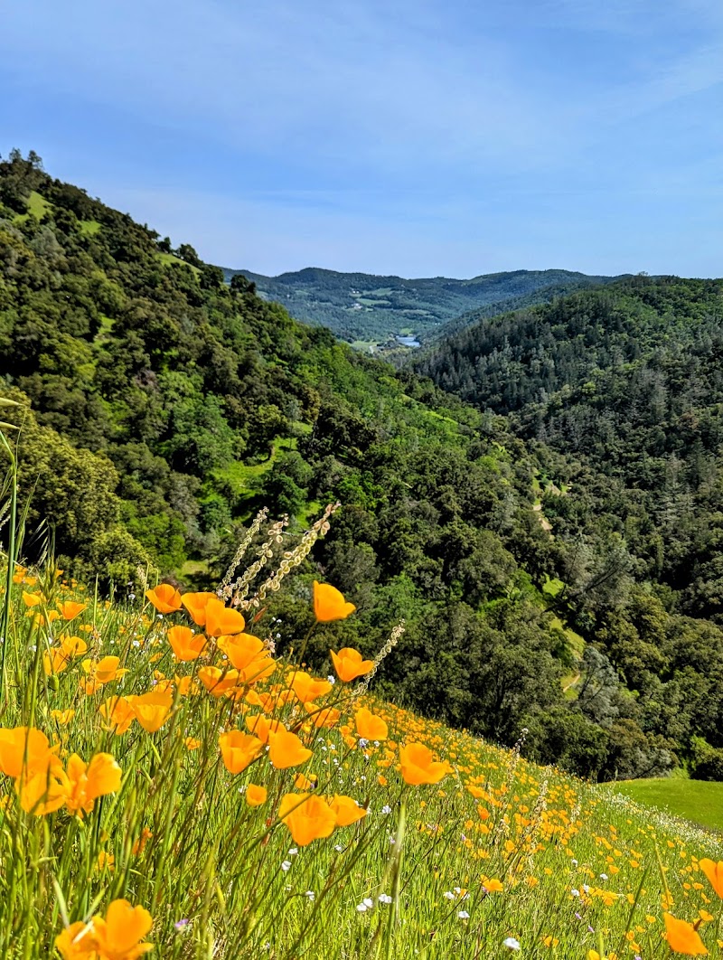 Moore Creek Park photo 5